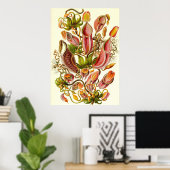 Ernst Haeckel - Nepenthaceae Poster (Thuiskantoor)
