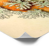 Ernst Haeckel - Nudibranchia Poster (Hoek)