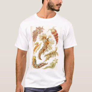 Ernst Haeckel - Nudibranchia Tshirt