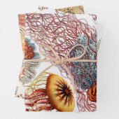 Ernst Haeckel Ocean Wrapping Paper Sheets (In situ)