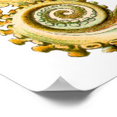 Ernst Haeckel Octopus in Geel Poster (Hoek)