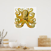 Ernst Haeckel Octopus in Geel Poster (Keuken)
