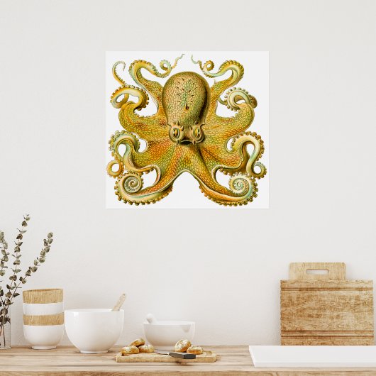 Ernst Haeckel Octopus in Geel Poster (Keuken)