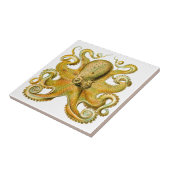  Ernst Haeckel Octopus in Geel Tegeltje (Zijkant)