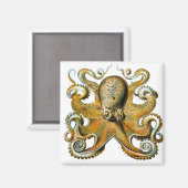 Ernst Haeckel Octopus Magneet (Voorkant / Achterkant)