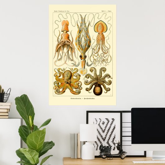 Ernst Haeckel Octopus Poster (Thuiskantoor)