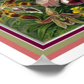 Ernst Haeckel "Orchida" Botanische print 12 x 16 (Hoek)