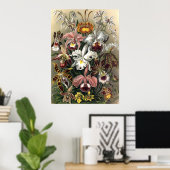 Ernst Haeckel - Orchideae Poster (Thuiskantoor)