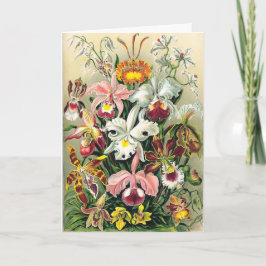 Ernst Haeckel - Orchideeën Bedankkaart