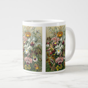 Ernst Haeckel Orchideeën, Oude Regenwoud Bloemen Grote Koffiekop