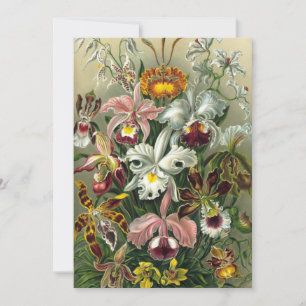 Ernst Haeckel Orchideeën, Oude regenwoud bloemen Kaart
