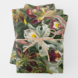 Ernst Haeckel Orchideeën, Vintage Regenwoud Bloeme Inpakpapier Vel