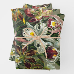 Ernst Haeckel Orchideeën, Vintage Regenwoud Bloeme Inpakpapier Vel