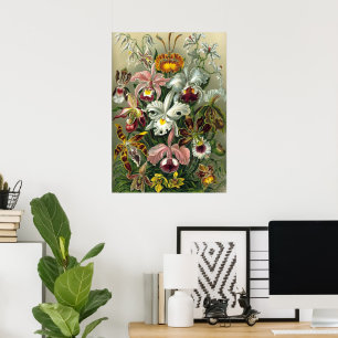 Ernst Haeckel Orchideeën, Vintage Regenwoud Bloeme Poster