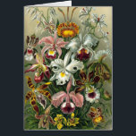Ernst Haeckel Orchids, regenwoudbloemen<br><div class="desc">afbeelding van florale botanische vormgeving door Ernst Haeckel. Een bouquet mooie tropische orchidee bloemen uit de regenwoud oerwouden. De exotische planten zijn onder meer Cymbidiums, Oncidiums, Odontoglossum, Cattleyas.</div>