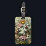 Ernst Haeckel Orchids,  regenwoudbloemen Bagagelabel<br><div class="desc">afbeelding van florale botanische vormgeving door Ernst Haeckel. Een bouquet mooie tropische orchidee bloemen uit de regenwoud oerwouden. De exotische planten zijn onder meer Cymbidiums,  Oncidiums,  Odontoglossum,  Cattleyas.</div>