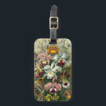 Ernst Haeckel Orchids,  regenwoudbloemen Bagagelabel<br><div class="desc">afbeelding van florale botanische vormgeving door Ernst Haeckel. Een bouquet mooie tropische orchidee bloemen uit de regenwoud oerwouden. De exotische planten zijn onder meer Cymbidiums,  Oncidiums,  Odontoglossum,  Cattleyas.</div>