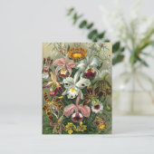 Ernst Haeckel Orchids,  regenwoudbloemen Briefkaart (Staand voorkant)