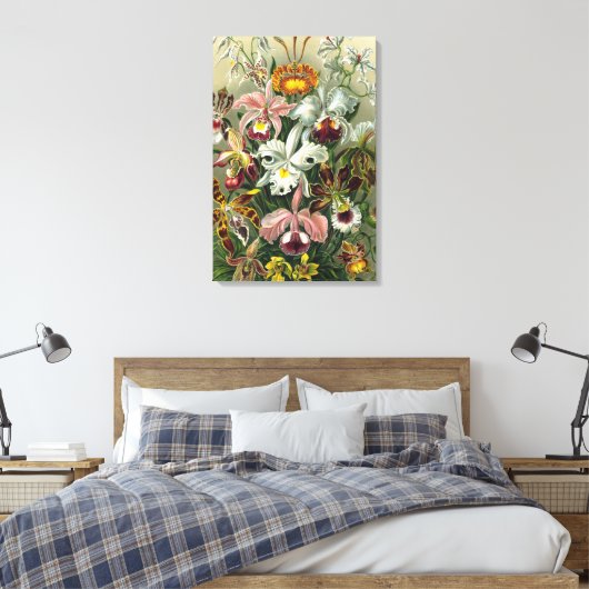 Ernst Haeckel Orchids,  regenwoudbloemen Canvas Afdruk (Insitu (Slaapkamer))