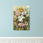 Ernst Haeckel Orchids, regenwoudbloemen Canvas Afdruk (Insitu (Houten vloer))