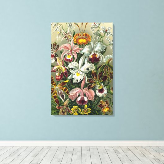 Ernst Haeckel Orchids, regenwoudbloemen Canvas Afdruk (Insitu (Houten vloer))