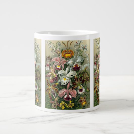 Ernst Haeckel Orchids,  regenwoudbloemen Grote Koffiekop (Voorkant)