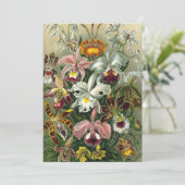 Ernst Haeckel Orchids,  regenwoudbloemen Kaart (Staand voorkant)
