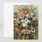 Ernst Haeckel Orchids,  regenwoudbloemen Kaart (Voorkant / Achterkant)