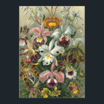Ernst Haeckel Orchids,  regenwoudbloemen Kaart<br><div class="desc">Eenvoudig te personaliseren,  klik gewoon op de knop "aanpassen" en gebruik de ontwerptools om een unieke uitnodiging of aankondiging te creëer.  illustratie floraal botanisch ontwerp van Ernst Haeckel. Een boeket van prachtige tropische orchideeënbloemen uit de regenwouden oerwouden. De bekende exotische planten zijn Cymbidiums,  Oncidiums,  Odontoglossums,  Cattleyas.</div>