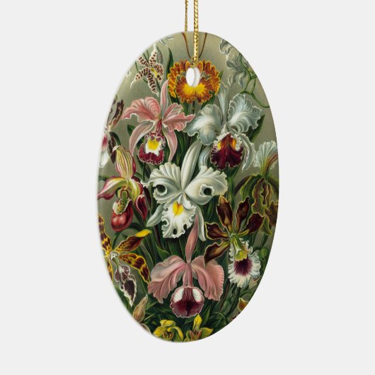Ernst Haeckel Orchids,  regenwoudbloemen Keramisch Ornament (Rechts)