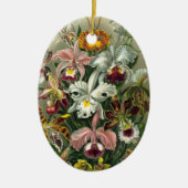 Ernst Haeckel Orchids,  regenwoudbloemen Keramisch Ornament (Voorkant)