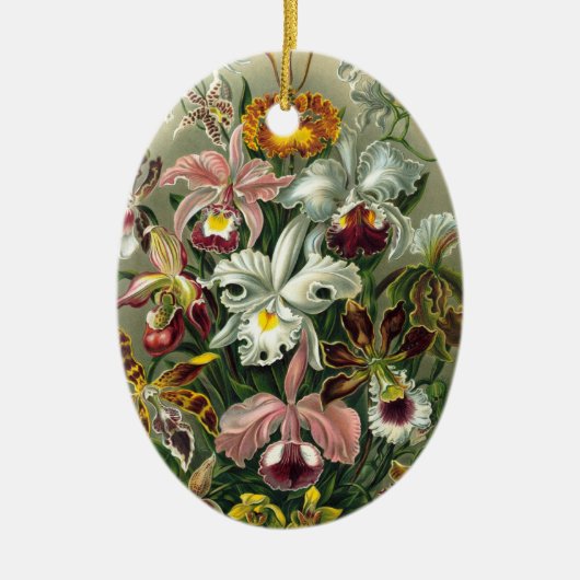 Ernst Haeckel Orchids,  regenwoudbloemen Keramisch Ornament (Voorkant)