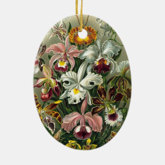 Ernst Haeckel Orchids,  regenwoudbloemen Keramisch Ornament (Achterkant)