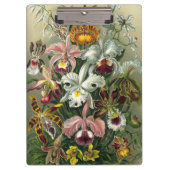 Ernst Haeckel Orchids,  regenwoudbloemen Klembord (Voorkant)
