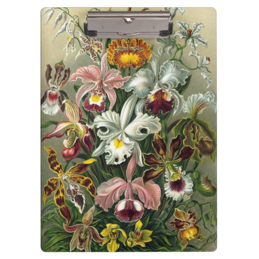 Ernst Haeckel Orchids,  regenwoudbloemen Klembord (Voorkant)