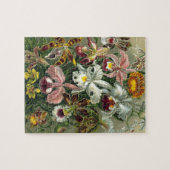 Ernst Haeckel Orchids,  regenwoudbloemen Legpuzzel (Horizontaal)