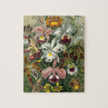 Ernst Haeckel Orchids,  regenwoudbloemen Legpuzzel<br><div class="desc">Sturdy kartonnen puzzel met afmetingen variërend van 30 tot 1014 stuks!  afbeelding van florale botanische vormgeving door Ernst Haeckel. Een bouquet mooie tropische orchidee bloemen uit de regenwoud oerwouden. De exotische planten zijn onder meer Cymbidiums,  Oncidiums,  Odontoglossum,  Cattleyas.</div>