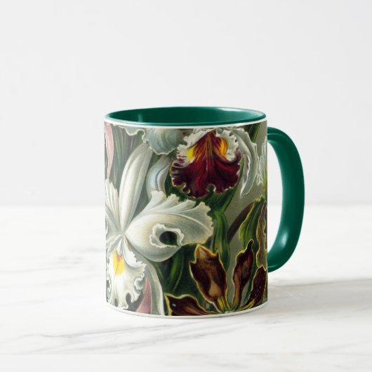 Ernst Haeckel Orchids,  regenwoudbloemen Mok (Voorkant rechts)