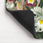 Ernst Haeckel Orchids,  regenwoudbloemen Muismat (Hoek)