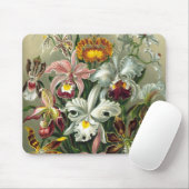 Ernst Haeckel Orchids,  regenwoudbloemen Muismat (Met muis)