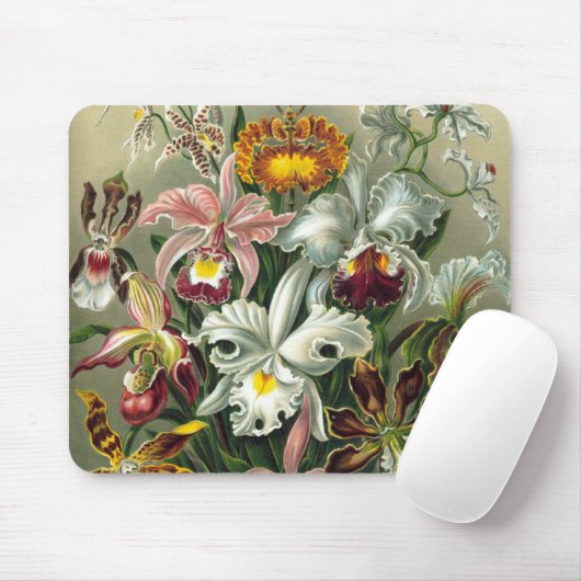Ernst Haeckel Orchids,  regenwoudbloemen Muismat (Met muis)
