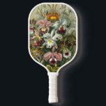 Ernst Haeckel Orchids,  regenwoudbloemen Pickleball Paddle<br><div class="desc">afbeelding van florale botanische vormgeving door Ernst Haeckel. Een bouquet mooie tropische orchidee bloemen uit de regenwoud oerwouden. De exotische planten zijn onder meer Cymbidiums,  Oncidiums,  Odontoglossum,  Cattleyas.</div>