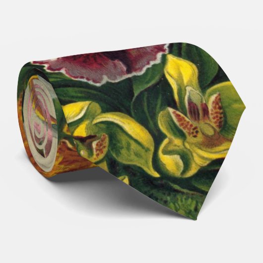 Ernst Haeckel Orchids,  regenwoudbloemen Stropdas (Opgerold)
