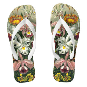 Ernst Haeckel Orchids,  regenwoudbloemen Teenslippers