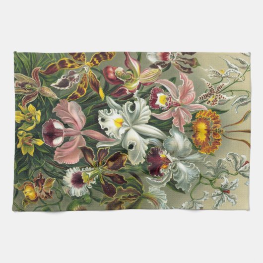 Ernst Haeckel Orchids, regenwoudbloemen Theedoek (Horizontaal)