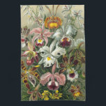 Ernst Haeckel Orchids, regenwoudbloemen Theedoek<br><div class="desc">afbeelding van florale botanische vormgeving door Ernst Haeckel. Een bouquet mooie tropische orchidee bloemen uit de regenwoud oerwouden. De exotische planten zijn onder meer Cymbidiums, Oncidiums, Odontoglossum, Cattleyas.</div>