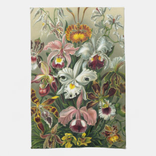 Ernst Haeckel Orchids,  regenwoudbloemen Theedoek