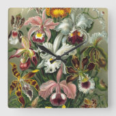 Ernst Haeckel Orchids,  regenwoudbloemen Vierkante Klok (Voorkant)