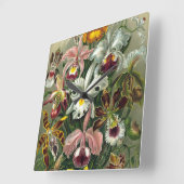 Ernst Haeckel Orchids,  regenwoudbloemen Vierkante Klok (Hoek)