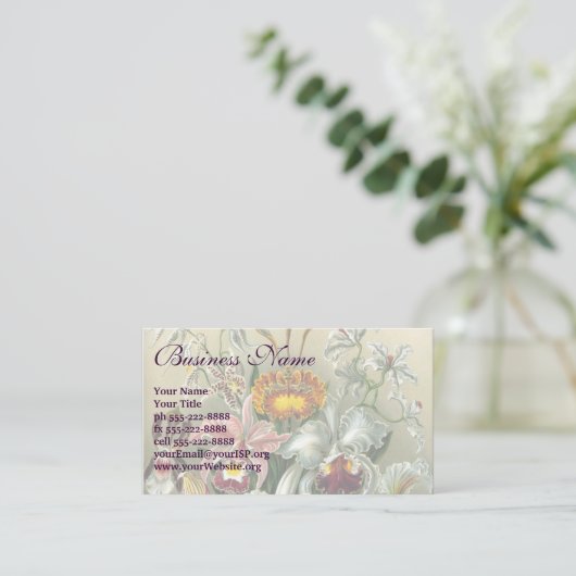 Ernst Haeckel Orchids,  regenwoudbloemen Visitekaartje (Staand voorkant)